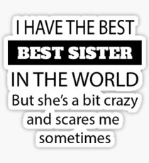 Fun Little Sister Gifts – Perfect Little Sister Birthday Gift – Gifts for Little Sister – Sticker