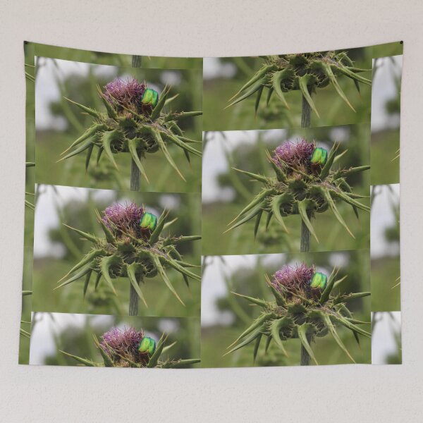 Item preview, A majestic bug on a thistle designed and sold by Matat Lipsky.