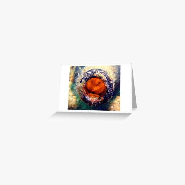 Safe at home. Greeting Card