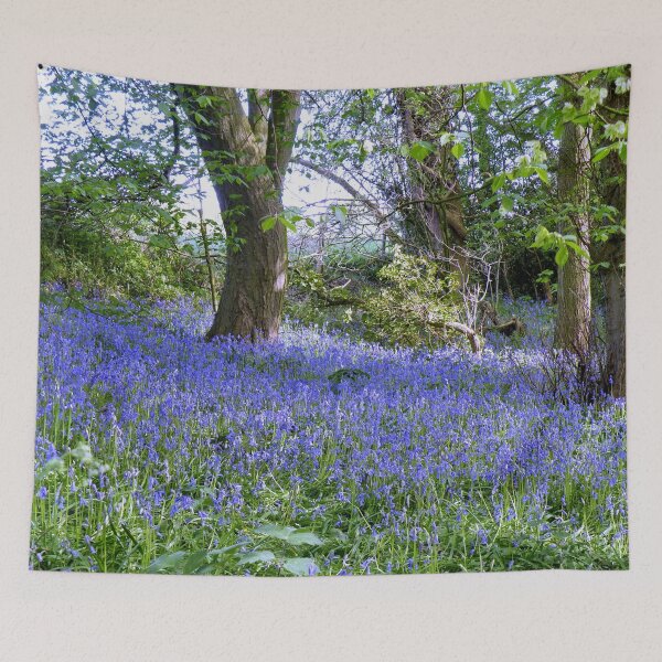 Item preview, BlueBell Woods, Dutton, Cheshire. designed and sold by AnnDixon.