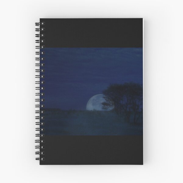 Item preview, Australian Blue Moon © Vicki Ferrari designed and sold by Vicki Ferrari Photography.