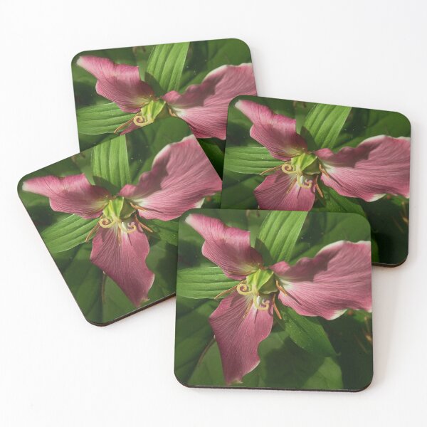 Item preview, Wild Pink Trillium designed and sold by AnnDixon.