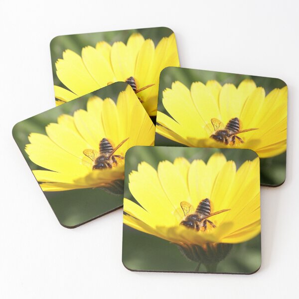 Item preview, Leaf cutter bee designed and sold by GreyFeatherPhot.