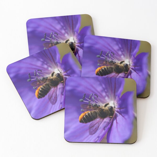 Item preview, Leaf cutter bee with bright pollen hairs designed and sold by GreyFeatherPhot.