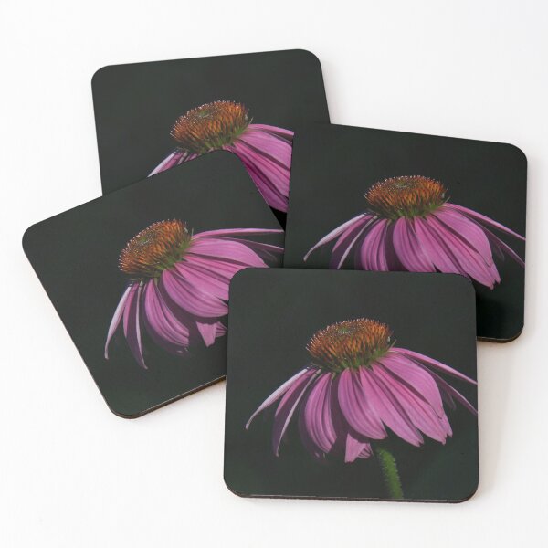 Item preview, Pink Passion _ Cone-flower!  designed and sold by Poete100.