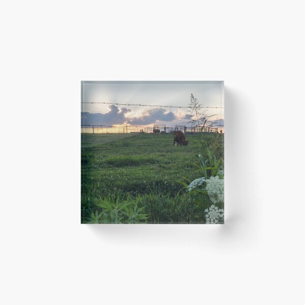 Item preview, Sunset Over The Cattle Farm designed and sold by mljdwhite.