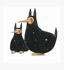 Hugin & Munin Photographic Print