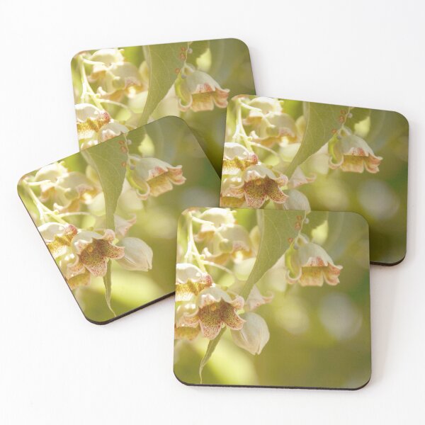 Item preview, Kurrajong in Flower designed and sold by Ohlordi.