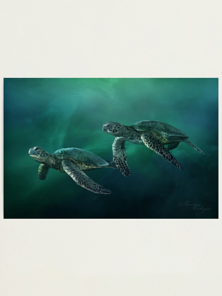 Alternate view of Ocean Flight Photographic Print