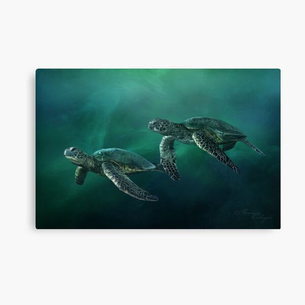 Ocean Flight Canvas Print