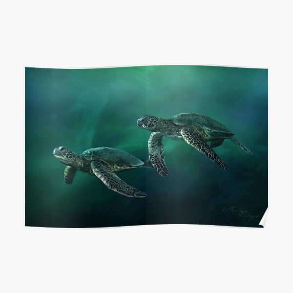 Ocean Flight Poster