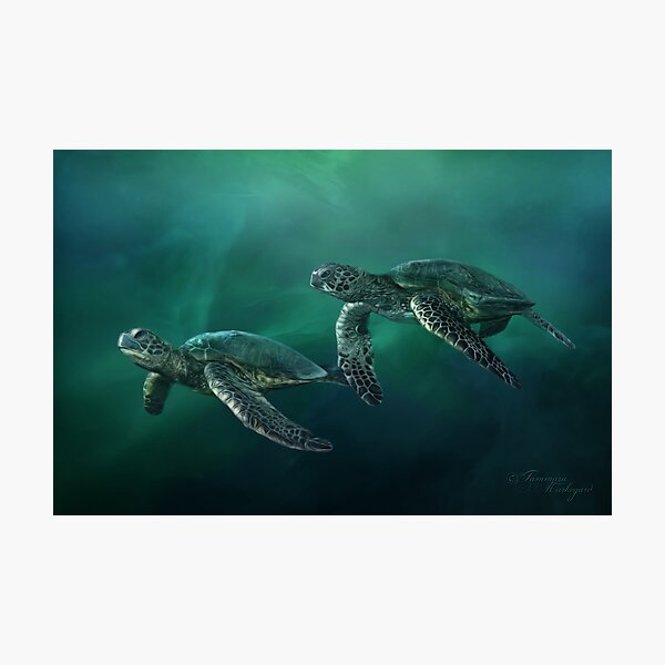 Ocean Flight Photographic Print