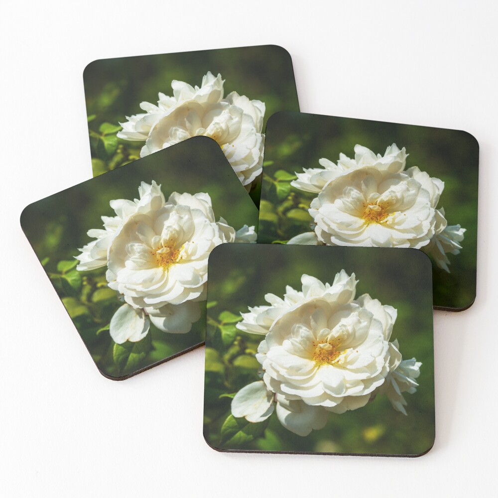 Item preview, Coasters (Set of 4) designed and sold by enhan.