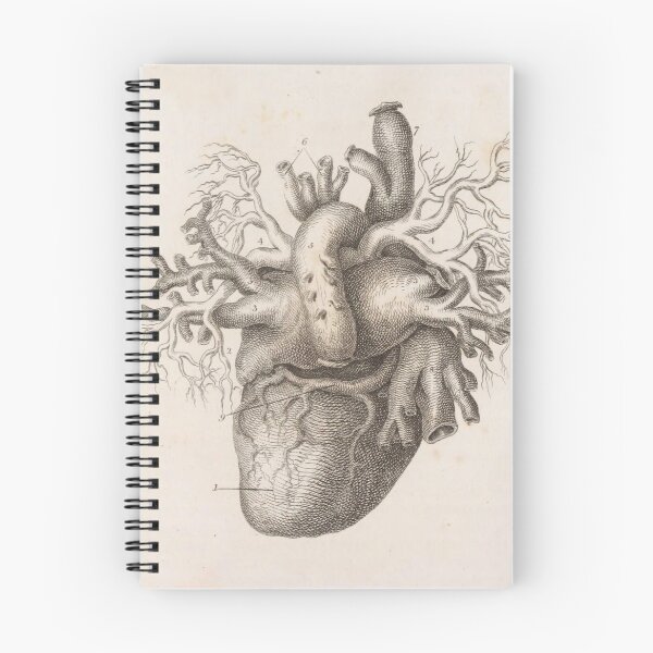 Item preview, Anatomical Heart designed and sold by BlueSpecsStudio.