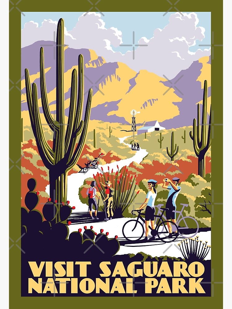 Visit Saguaro National Park by wonder-webb
