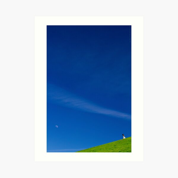 the girl on a hill Art Print