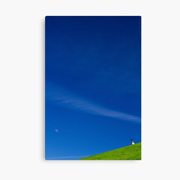 the girl on a hill Canvas Print