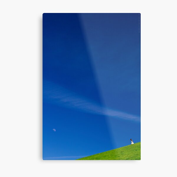 the girl on a hill Metal Print