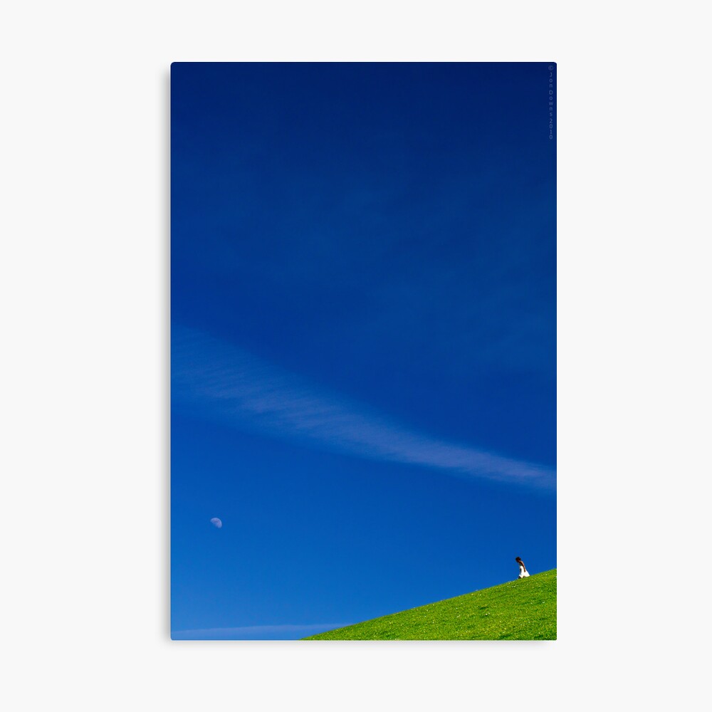 the girl on a hill Canvas Print