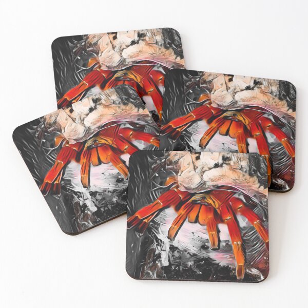 Item preview, OBT designed and sold by SpiderFire Photography.