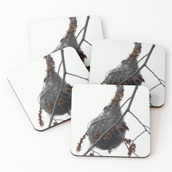 Item preview, Oriole Nest designed and sold by Leslie Montgomery Art.