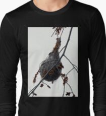 Oriole Nest Long Sleeve T-Shirt