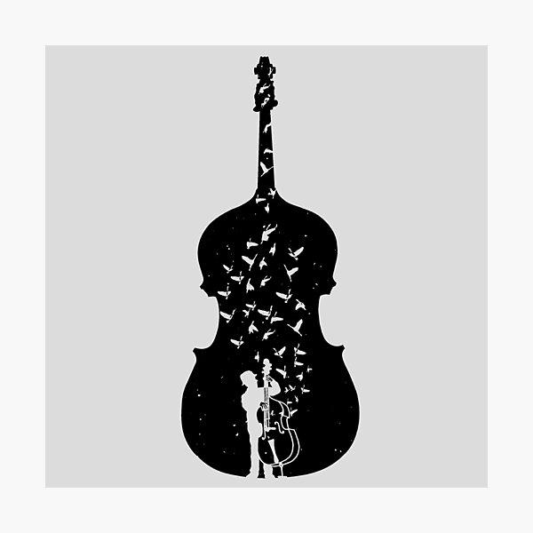 Double Bass Photographic Print