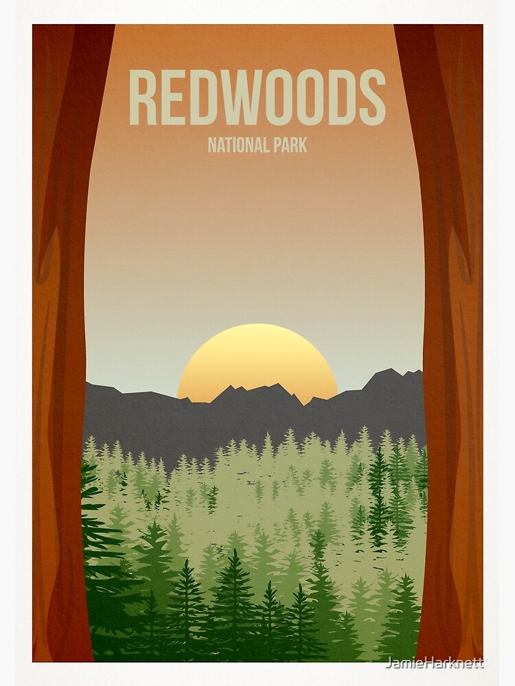 Disover Redwoods National Park Premium Matte Vertical Poster