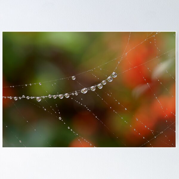 Item preview, String of pearls... designed and sold by anniek1947.