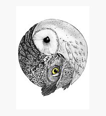 Balance Photographic Print