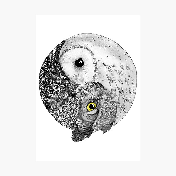Balance Photographic Print