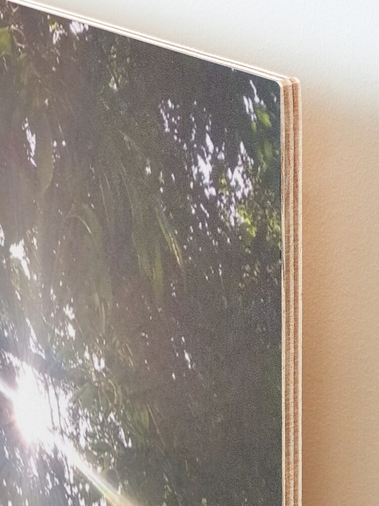 Alternate view of M.I. #12 |☼| Smoky Tree Sun Rays - Portrait Shot (Pearson Park) Mounted Print