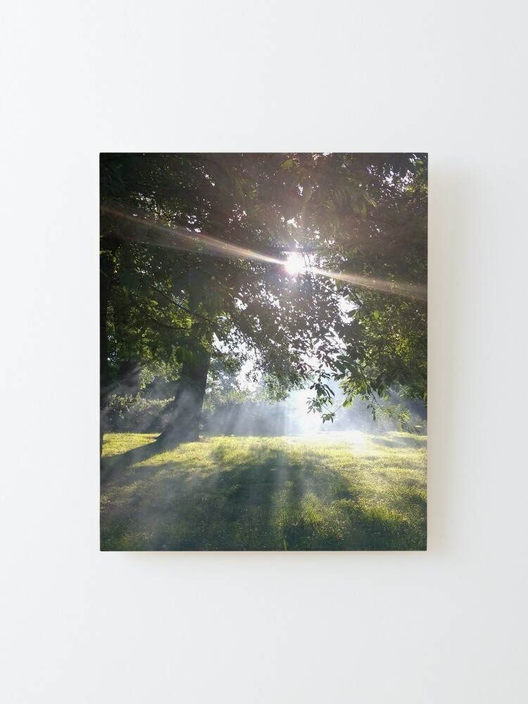 Alternate view of M.I. #12 |☼| Smoky Tree Sun Rays - Portrait Shot (Pearson Park) Mounted Print