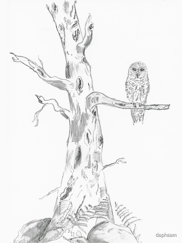 "Owl In Oak Tree Graphite Pencil Drawing" Tshirt by daphsam Redbubble