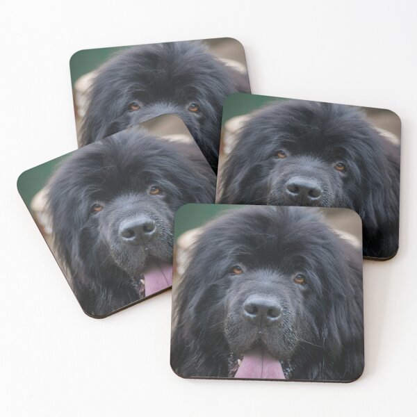 Item preview, Newfoundland Dog Face with Tongue Sticking Out designed and sold by shane22.