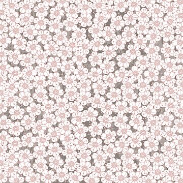 Artwork thumbnail, Hawthorn Blossom by GillianAdams
