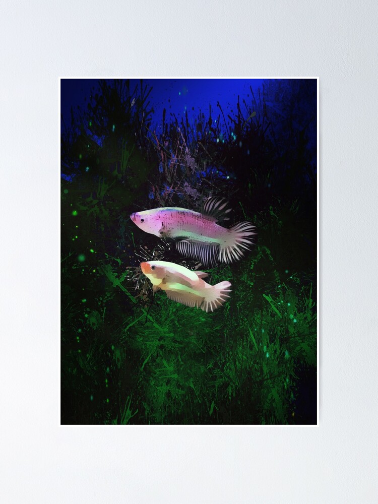 Two Happy Betta Fish Vertical Portrait Poster By Digital Designs Redbubble