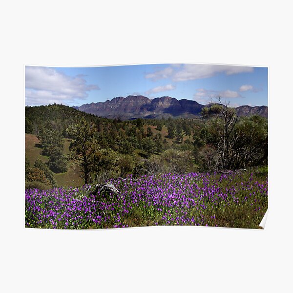 Elder Range, from Black Gap Poster
