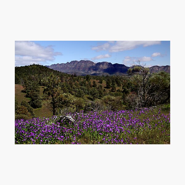 Elder Range, from Black Gap Photographic Print