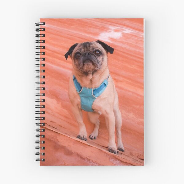 Item preview, Pug Feels Off Balance designed and sold by pugventurephoto.
