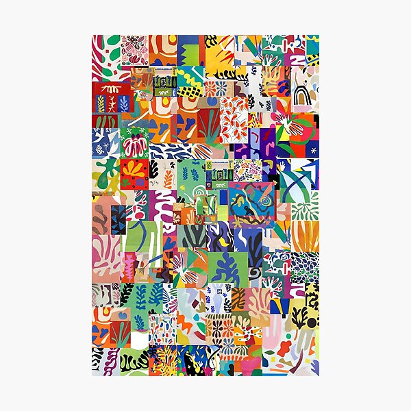 Henri Matisse Cutouts Photographic Print