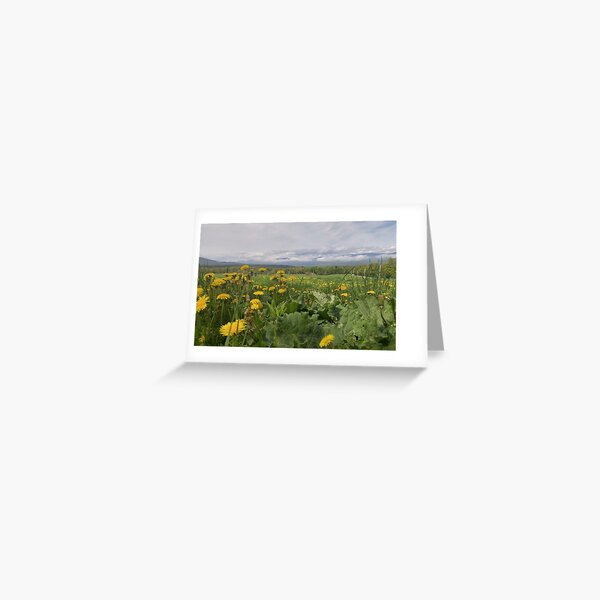 Summer Feels Greeting Card
