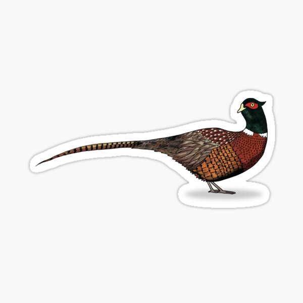 Item preview, Pheasant  designed and sold by allthebestltd.