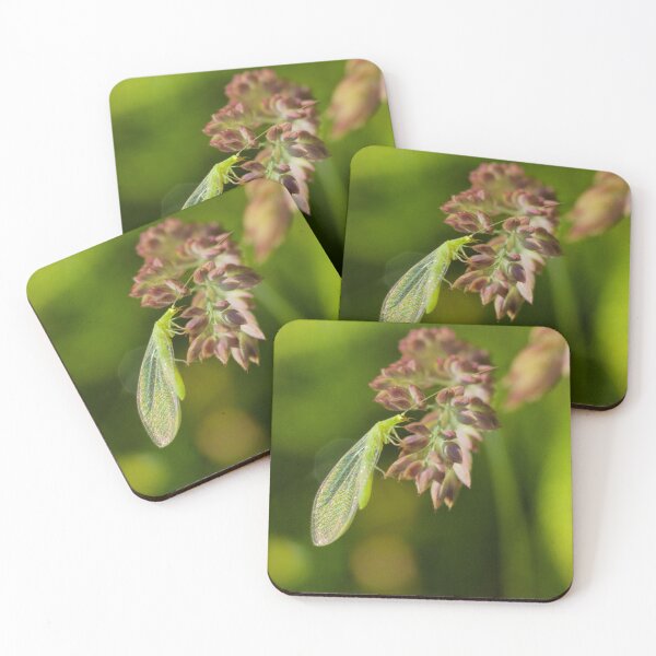 Item preview, THROUGH THE LACEWING LENS designed and sold by NICK COBURN PHILLIPS.