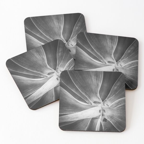 Item preview, succulent plant texture in black and white designed and sold by Mrvell.