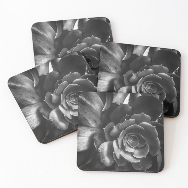 Item preview, closeup succulent plant in black and white designed and sold by Mrvell.