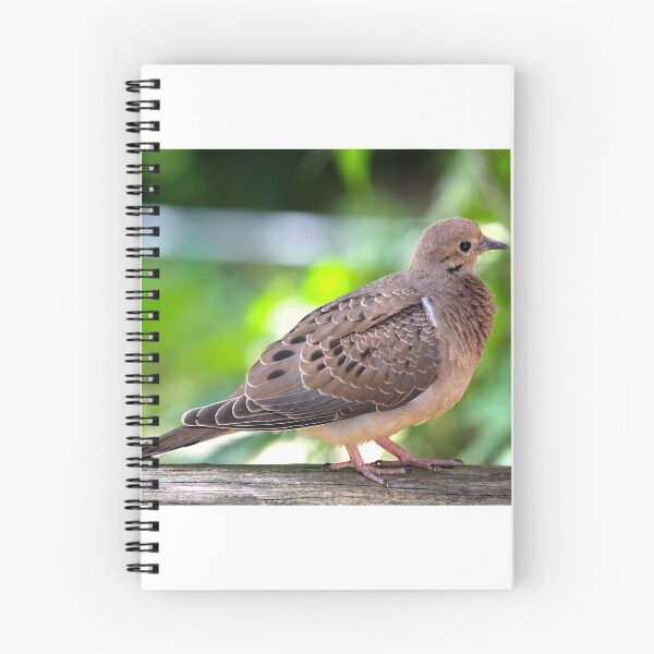 Item preview, Sparrow designed and sold by Shop-ASP.