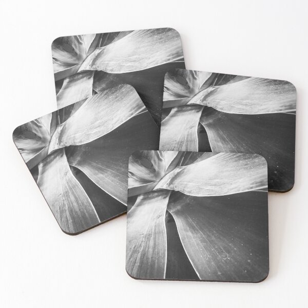 Item preview, closeup succulent plant texture in black and white designed and sold by Mrvell.