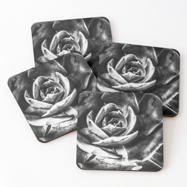 Item preview, closeup succulent plant in black and white designed and sold by Mrvell.