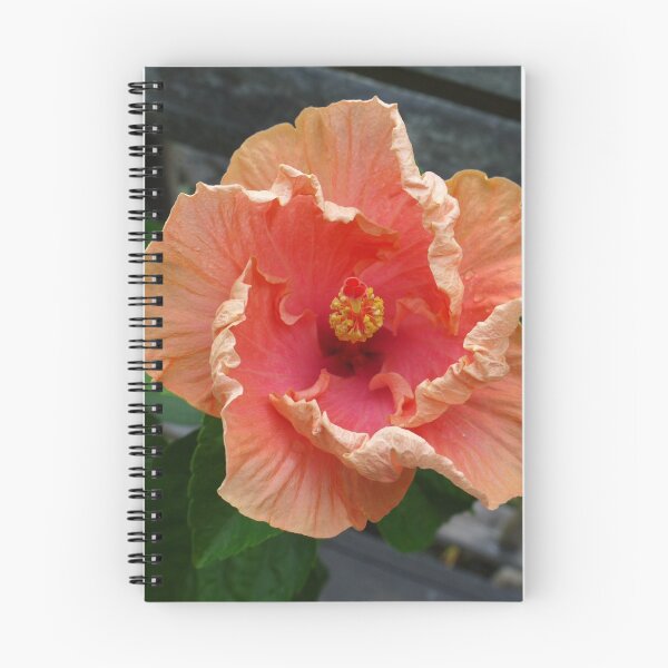 Item preview, Fiery Charmer designed and sold by webster7.